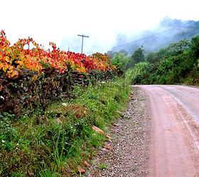 Caminhos de Pedra - Serra Gacha - Site Guiabento