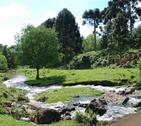 Estrada do Sabor - Serra Gacha - Site Guiabento