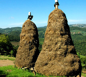 Vinhos da Montanha - Serra Gaúcha - Site Guiabento