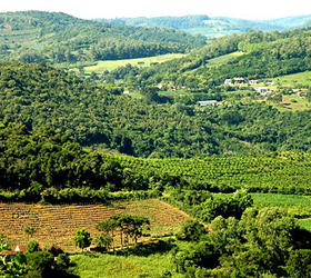 Vinhos da Montanha - Serra Gacha - Site Guiabento