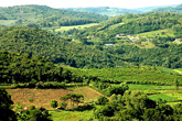 Vinhos da Montanha - Serra Gaúcha - Site Guiabento